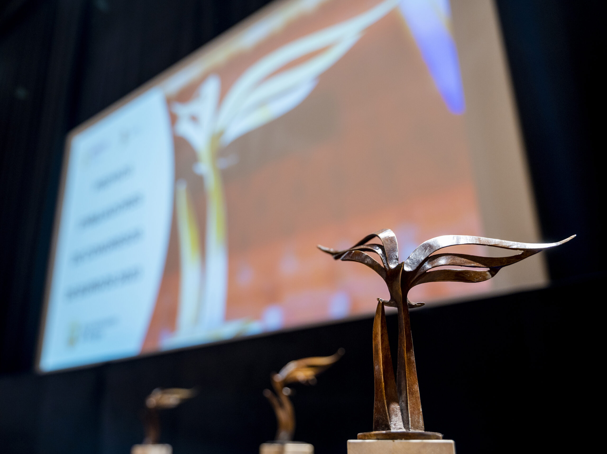 Embajadores de Burgos 23