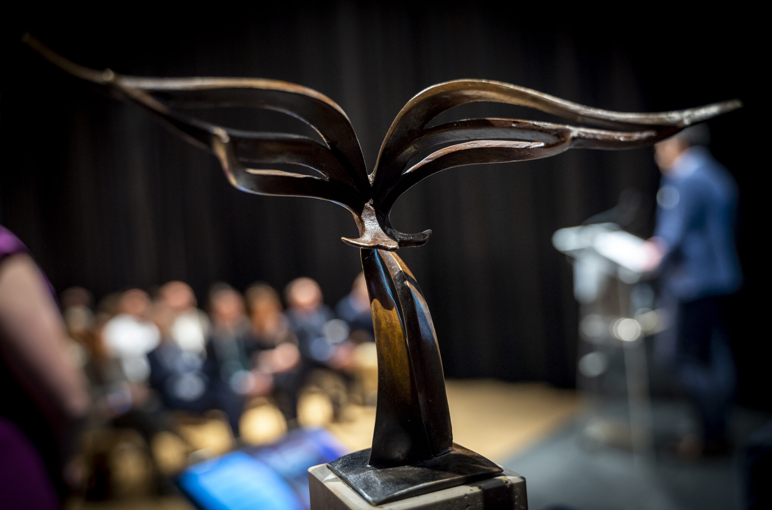 Embajadores de Burgos 23_12