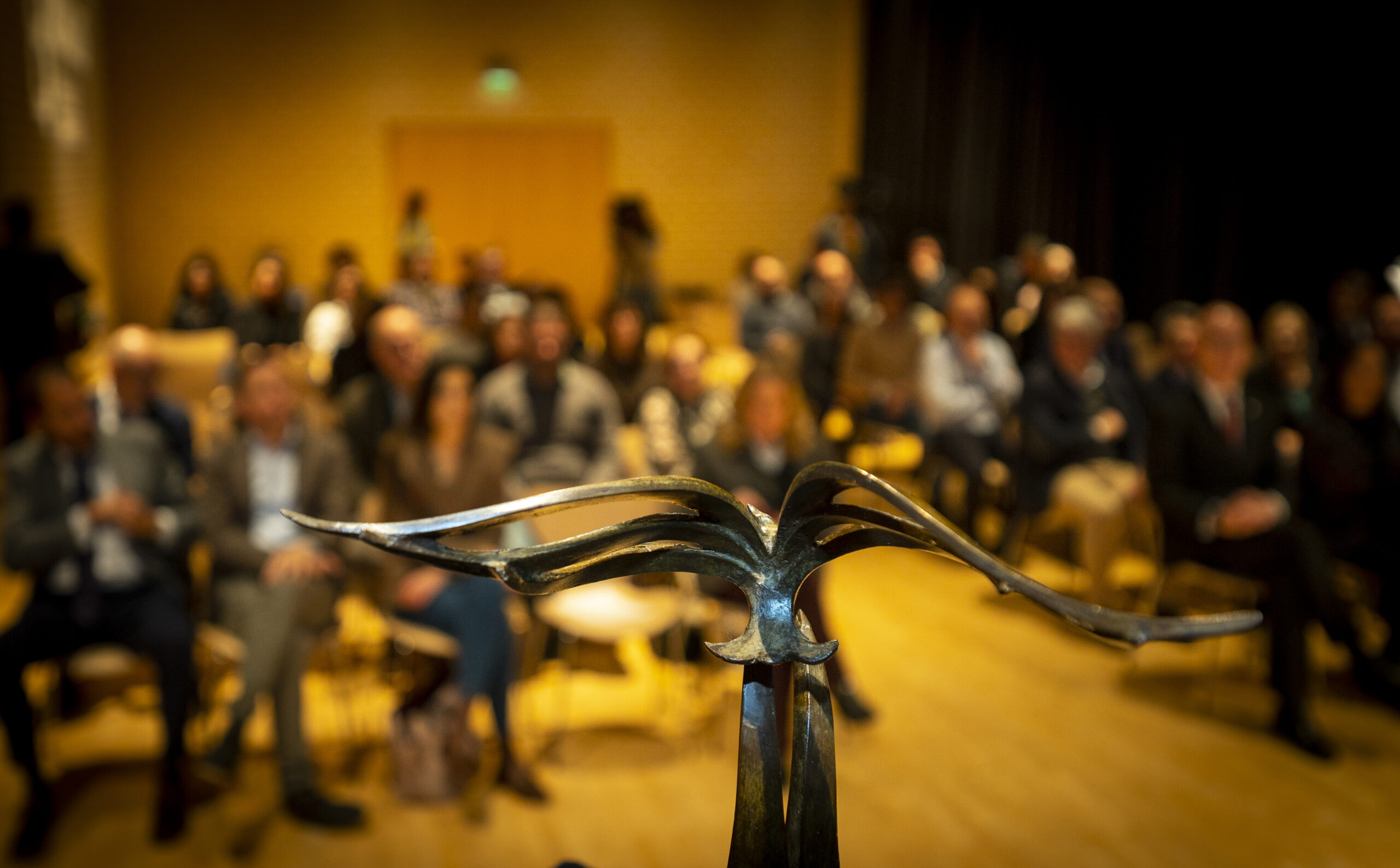 Premios embajadores_8