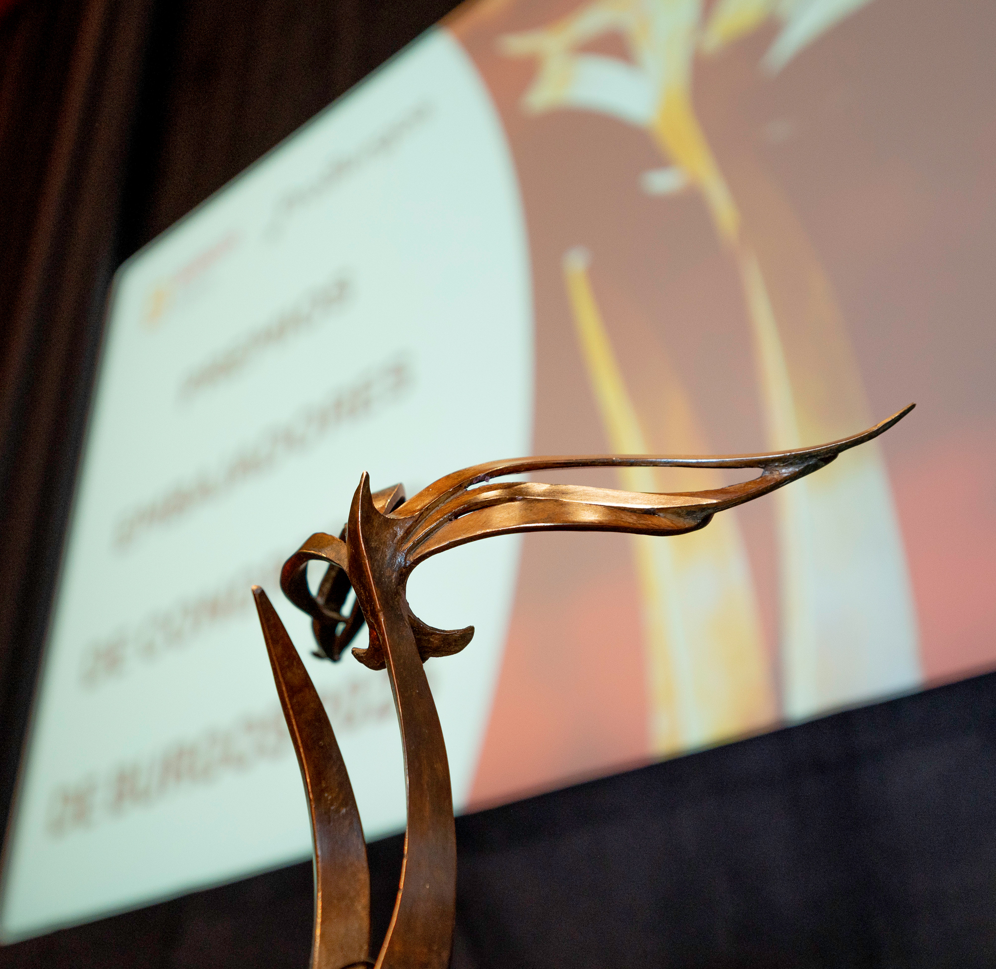 Premios embajadores 2025_3