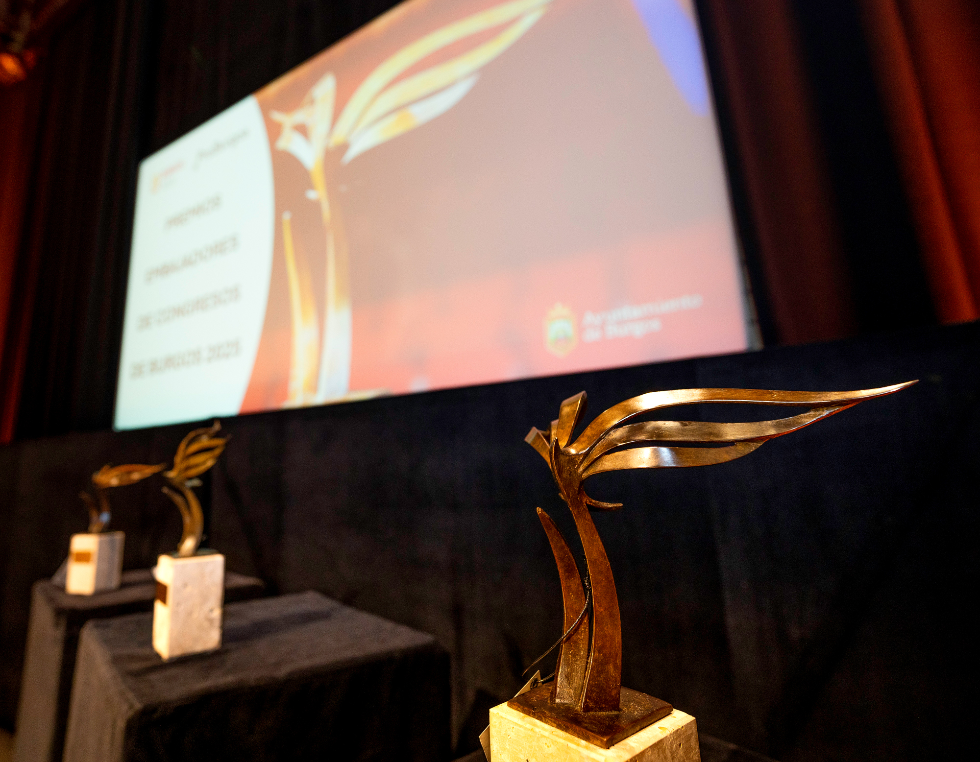 Premios embajadores 2025_7